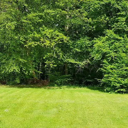 The Green
